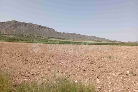 Helårsgrund i Yecla, Murcia, Yecla - € 39.000 | Ref: SF0472 - foto 10
